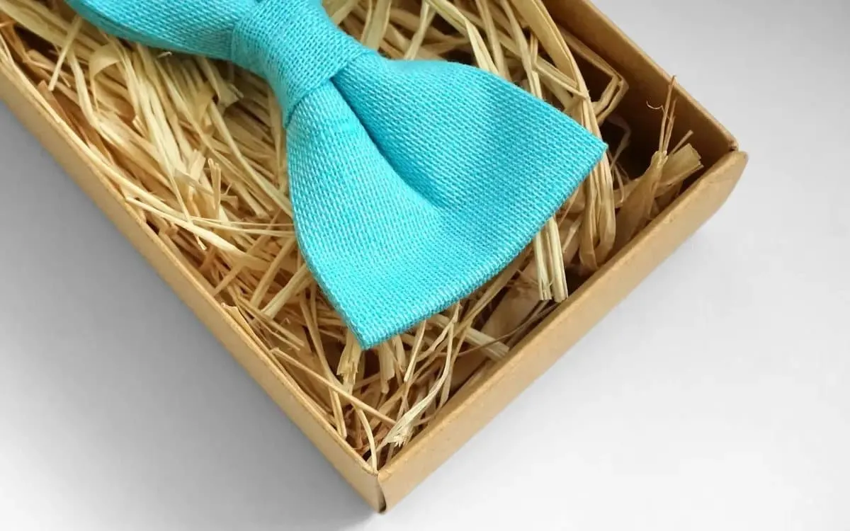 Blue Linen Necktie for Men