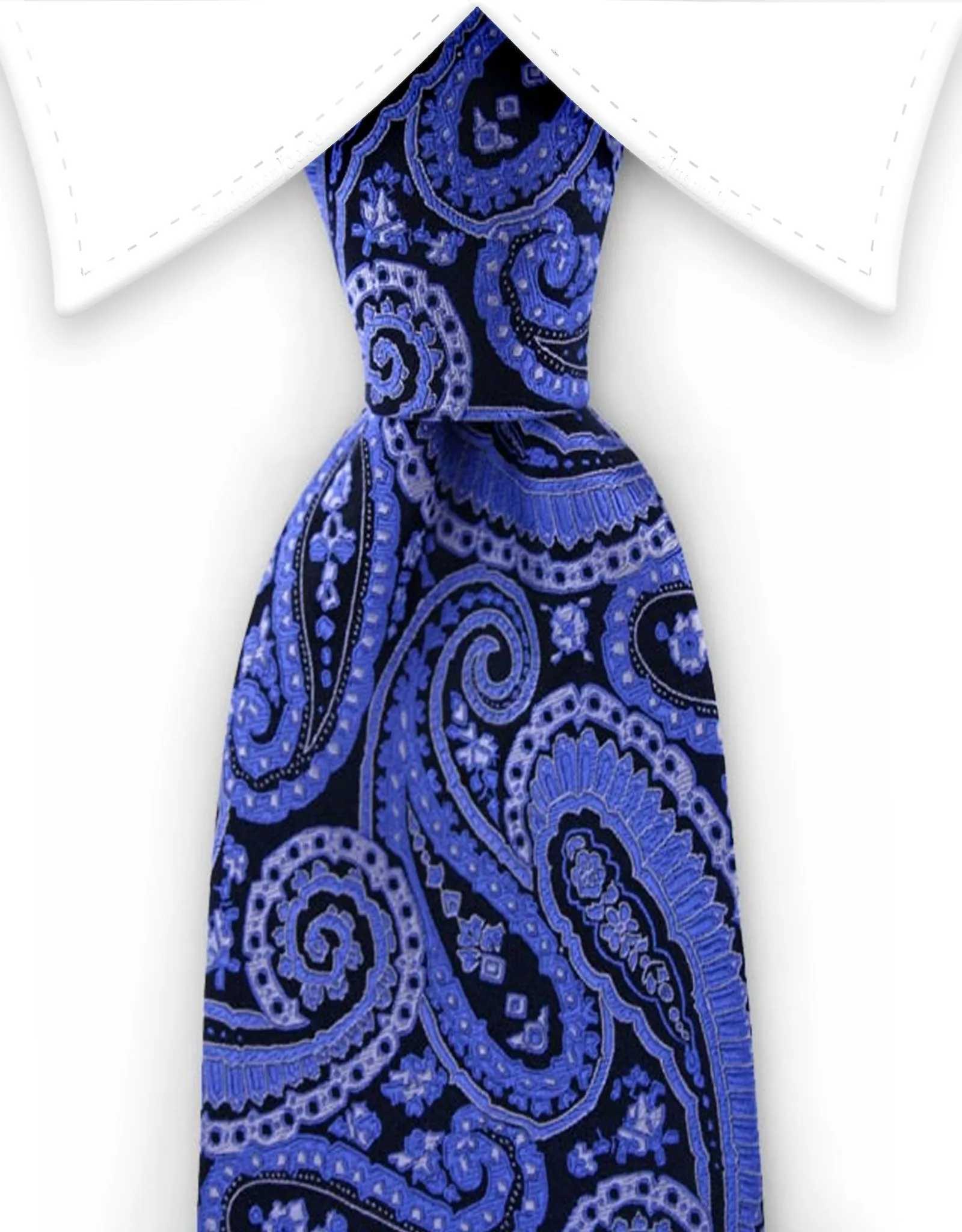 Elegant Blue & Black Paisley Necktie